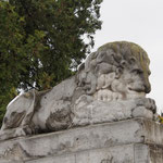 le lion