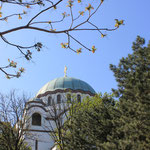 L'église Saint Sava