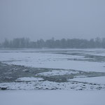 Le Danube qui commence à geler 