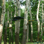 Le parcours d'accro-branches