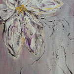 60x80cm