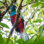 Pura Vida - Foto © Siegfried Klafschinski