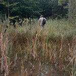 kleiner Teich - Ausgleichsmaßnahme zum Waldwegebau  ©Barbara Langer