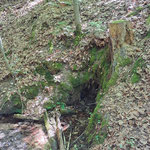 Rumpelbrunnen (Quelle)  ©Margareta Loscher