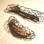 dead cuctas with wire 2007 (c)Y.Ohno