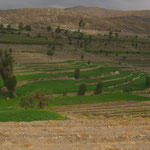 pre-Inka terrassenbau bei Arequipa