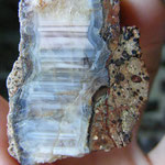 Kornberg