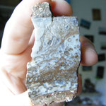 Kornberg