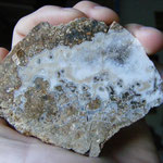Kornberg