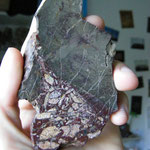 Kornberg