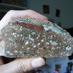 Kornberg