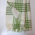 Check white / light green