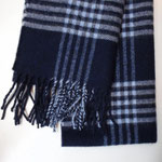 Check blue / light blue