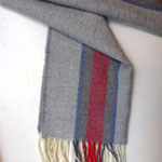 Vertical stripe light gray