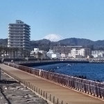 馬堀海岸から見た富士山