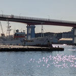 三崎港と城ヶ島大橋