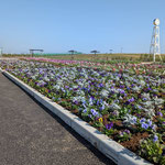 jera park YOKOSUKA