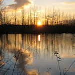 Etang de la Noue du Bois