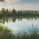 Etang de la Croix Blanche