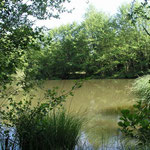Etang Arnaud