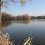 Etang de Pesnel