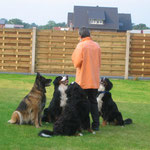 Traumhunde