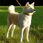 Fujin of Koyama Ken (Deutscher Veteranen-Champion JA)