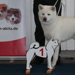 Daichi Akio go Yamaichi (Deutscher Jugend-Champion JA)