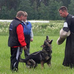  Summer Training Camp in Finland