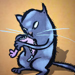 Schwitzende Katze