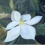 Sommermagnolie