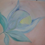 Weltblume