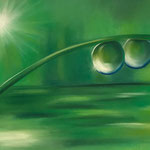 Wassertropfen