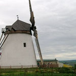 Windmühle bei Retz