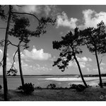 2012 - Baie de Gatseau - Ile d'Oléron