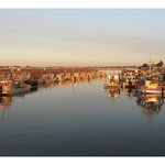2016 - Port de Bourcefranc le Chapus - Charente Maritime