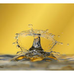 2014 - Splash