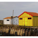 2016 - Fort Royer - Ile d'Oléron
