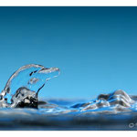 2014 - D"eau"phin