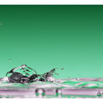 2014 - Escarg"eau"t