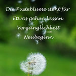 eine Pusteblume