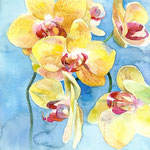 Orchidée jaune A4- 21x29,7 cm.