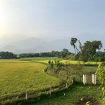 The landscape behind the ashram on the morning of Surya Pongal