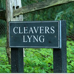 Cleavers Lyng