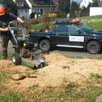 Wurzelfräsung ohne Bagger. Vermeidung von Flurschaden