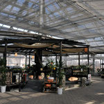 Flower greenhouse