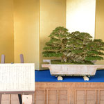 43 Courtesy of Furumine Shrine (NYOHOZAN) A