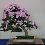 Minister of Environment Award, Variety; Kunpu