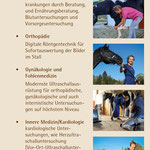 Flyergestaltung