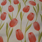 Tulpen!!